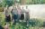 davydova_nadezhda-IMG_20240309_0206.jpg
