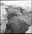 jariseva10.webp
