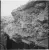 jariseva2.webp