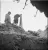 jariseva3.webp